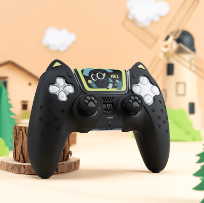 HEI Catroller PS5 Skin